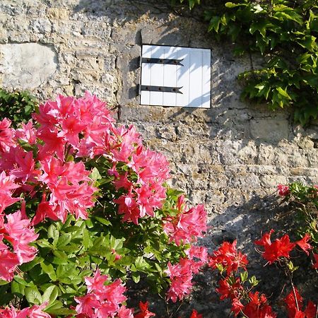 Manoir De La Pataudiere B&B Villers-Canivet Exterior photo