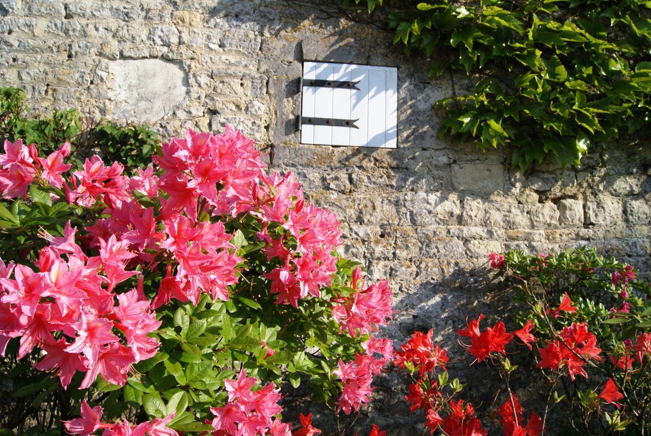 Manoir De La Pataudiere B&B Villers-Canivet Exterior photo